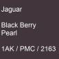 Preview: Jaguar, Black Berry Pearl, 1AK / PMC / 2163.